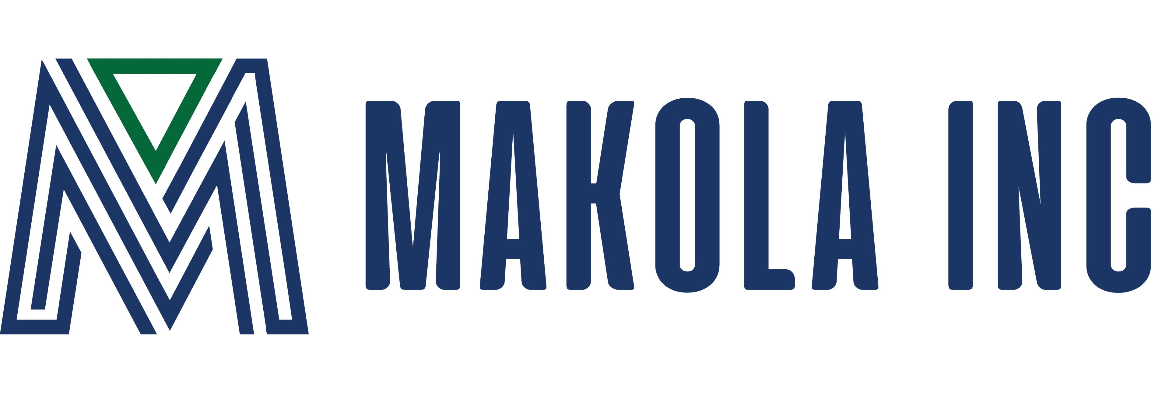 Makola Inc - Tax Firm